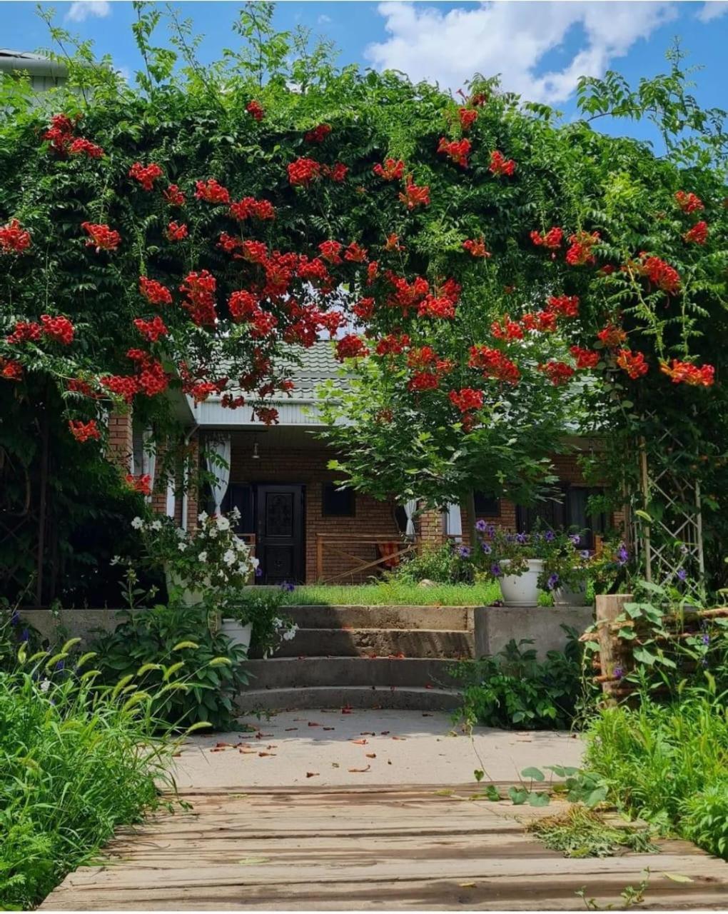 Hotel Arman Saryaghash Exterior foto